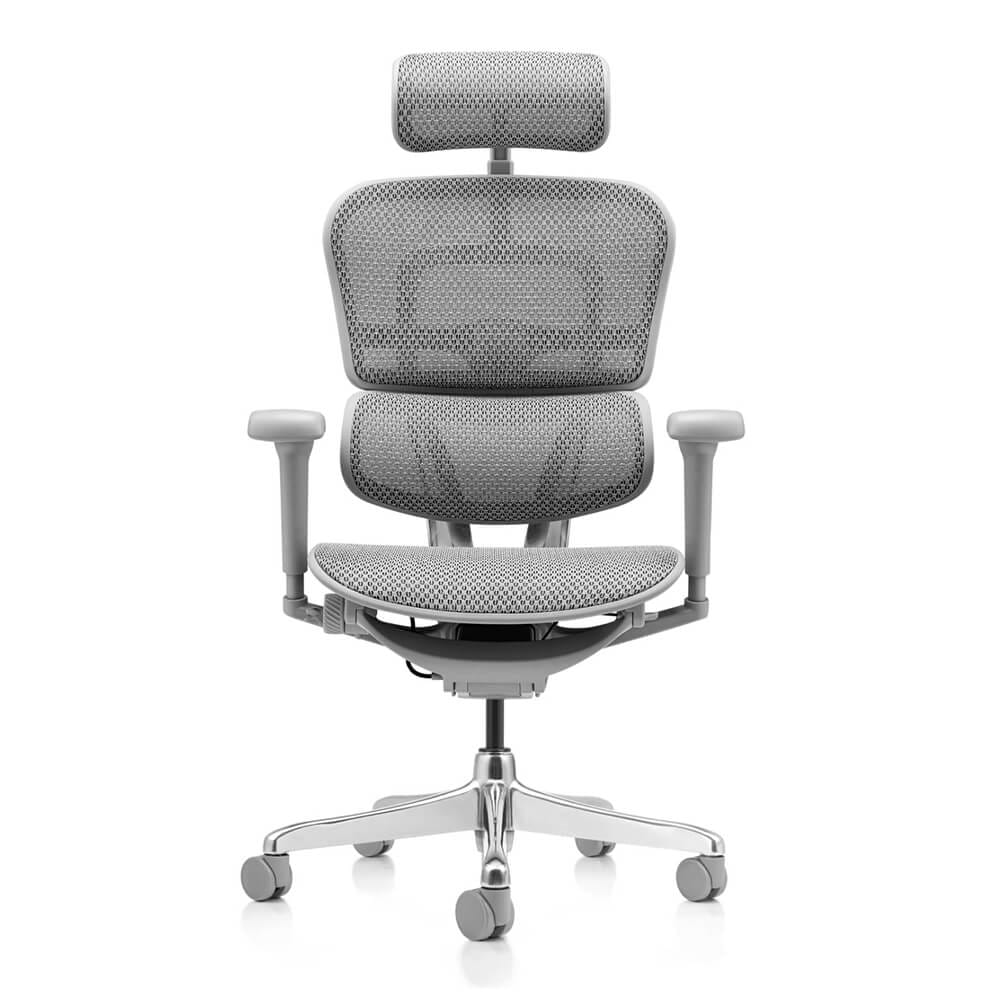 เก้าอี้เพื่อสุขภาพ DF PROCHAIR รุ่น Ergo Elite Ultra สีเทา